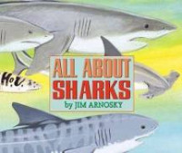 all about sharks 2