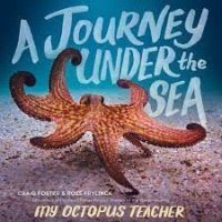 a journey under the sea foster