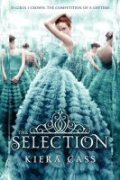 The Selection (Book 1)