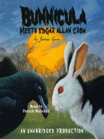 Bunnicula:  Bunnicula Meets Edgar Allan Crow