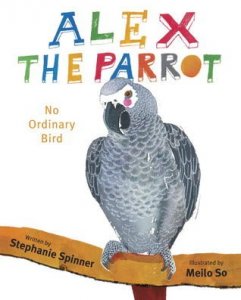 Alex the Parrot:  No Ordinary Bird