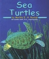 sea turtles.jpg