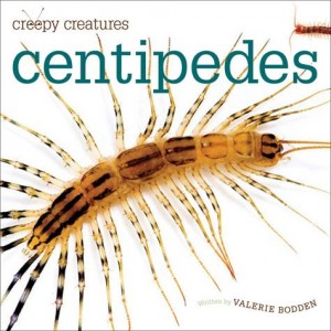 Centipedes: Creepy Creatures