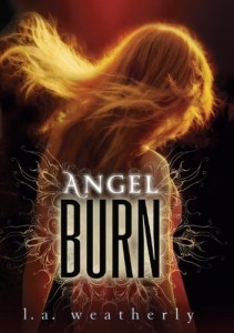 Angel Burn  (Book 1)