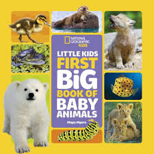National Geographic Little Kids First Big Book of Baby Animals - A Book ...