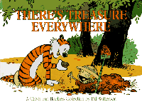 Calvin and Hobbes: There Is Treasure Everywhere