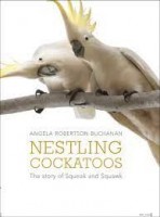 nestling cockatoos  squeak and
