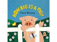 How Big Is A Pig?