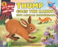 thump goes the rabbit
