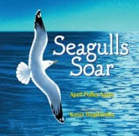 seagulls soar by April pulley sayre