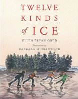 Twelve Kinds of Ice