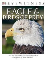 dk eyewitness  eagles and birds