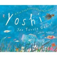 yoshi sea turtle