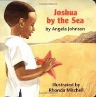 joshua by the sea angela johnson