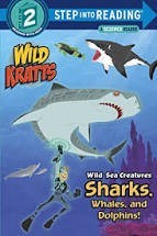 wild sea creatures whales sharks dolphins