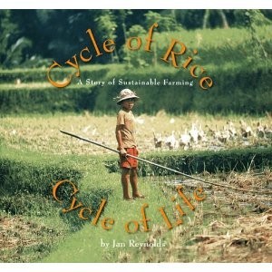 Cycle of Rice Cycle of Life (Vanishing Culture Series)