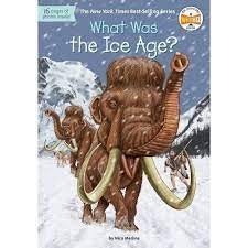What Was the Ice Age?