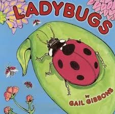 ladybug gail gibbons