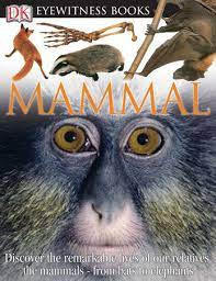 DK Eyewitness  Mammal