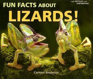Fun Facts About Lizards!