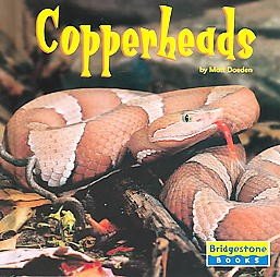 World of Reptiles:  Copperheads