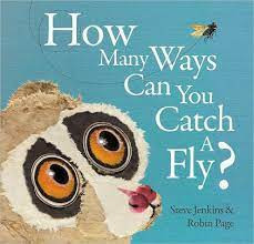 How many ways can you catch a fly  steve jenkins