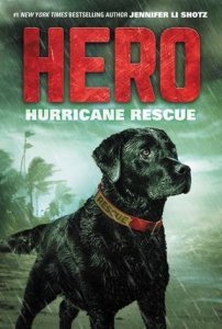 Hero, Book 2:  Hurricane Rescue