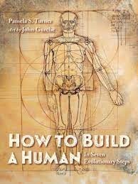 how to build a human pamela s. turner