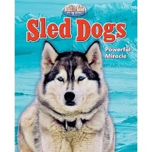 Sled Dog:  Powerful Miracle
