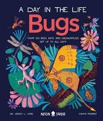 a day in the life of bugs