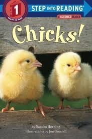 chicks step into reading horning