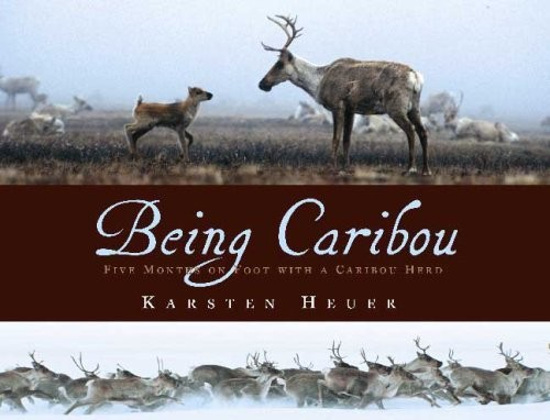 Being Caribou   Five Months On Foot With a Caribou Herd