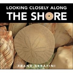 Looking Closely Along the Shore