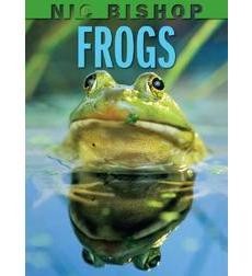 Frogs