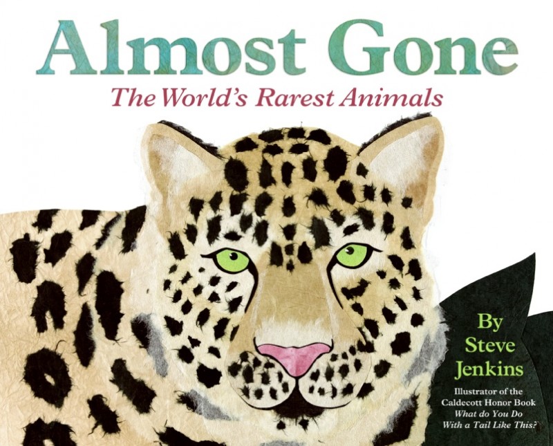 Let’s Read and Find Out Science Stage Two   Almost Gone  The World’s Rarest Animals