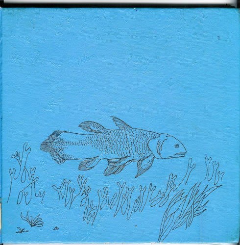 Let’s Read and Find Out Science: Long Lost Coelacanth and Other Living Fossils