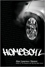 Hoopster, Book 3:  Homeboyz