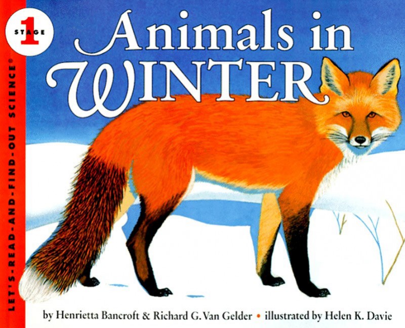 Let’s Read and Find Out Science: Animals in Winter, Stage 1