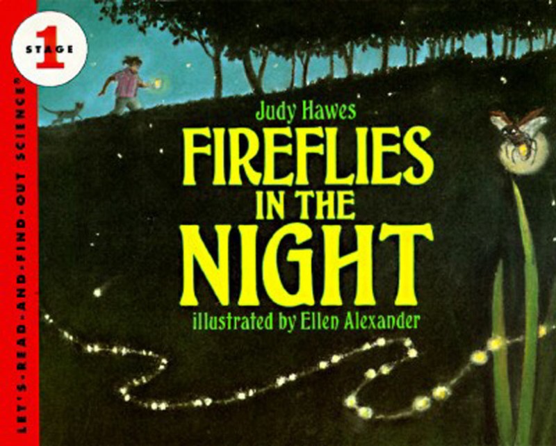 Let’s Read and Find Out Science: Fireflies in the Night, Stage 1