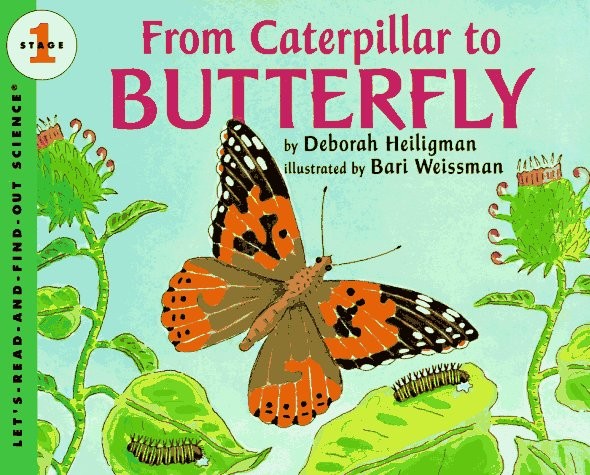 Let’s Read and Find Out Science: From A Caterpillar to a Butterfly, Stage 1