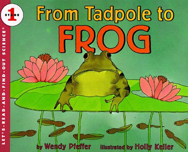 Let’s Read and Find Out Science: From Tadpole To Frog,  Stage 1