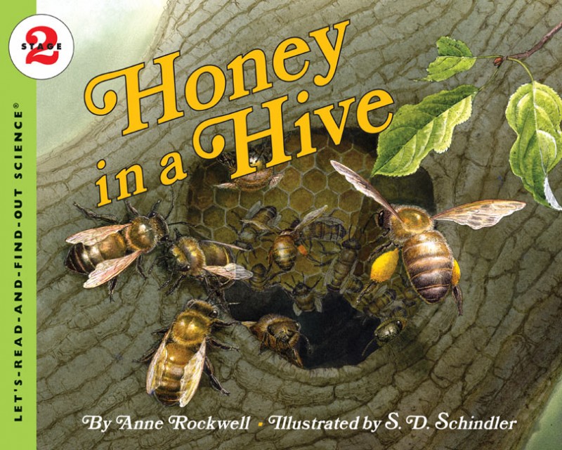Let’s Read and Find Out Science: Honey in A Hive, Stage 2