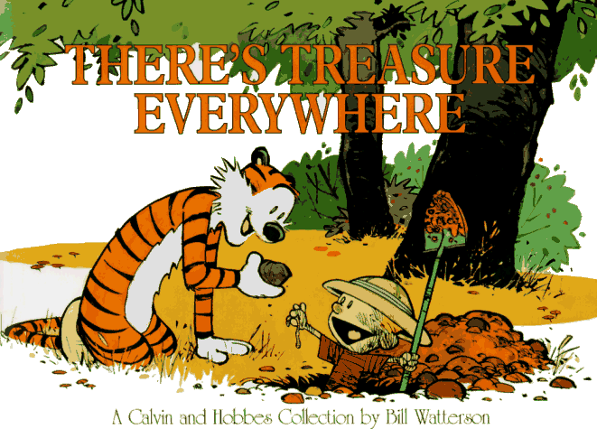 Calvin and Hobbes: There Is Treasure Everywhere