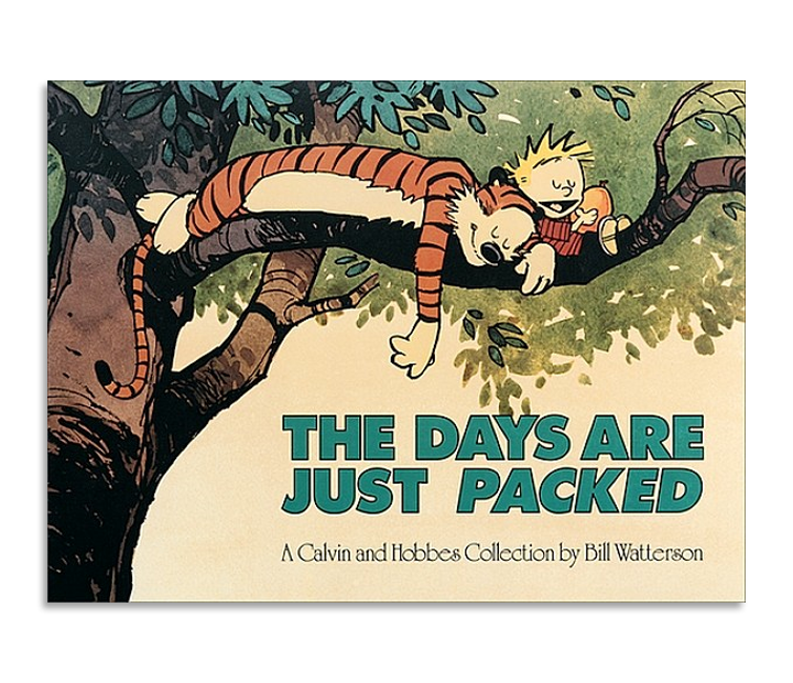Calvin and Hobbes: The Days Are Just Packed