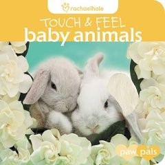Touch and Feel:  Baby Animals