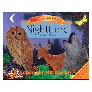 Nighttime: Sounds of the Wild