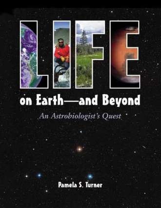 Life On Earth and Beyond:  An Astrobiologist’s Quest