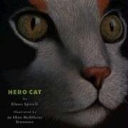 Hero Cat