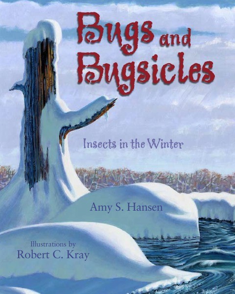 Bugs and Bugsicles:  Insects in the Winter