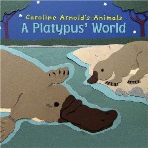 A Platypus’ World